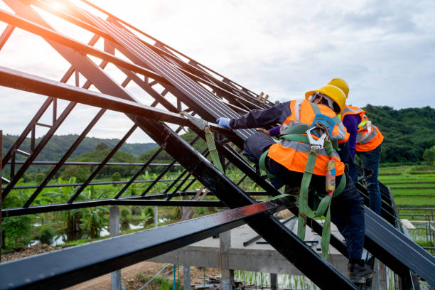 Gutter Installation and Roofing in Walnut Hill, TN